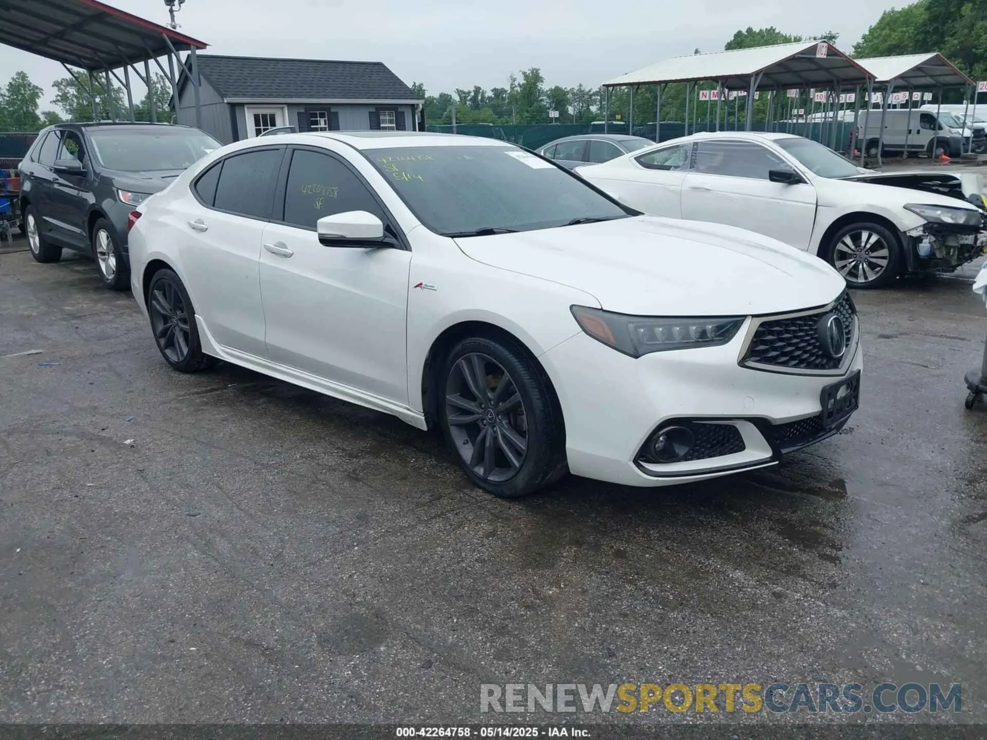 1 Photograph of a damaged car 19UUB2F63KA004061 ACURA TLX 2019