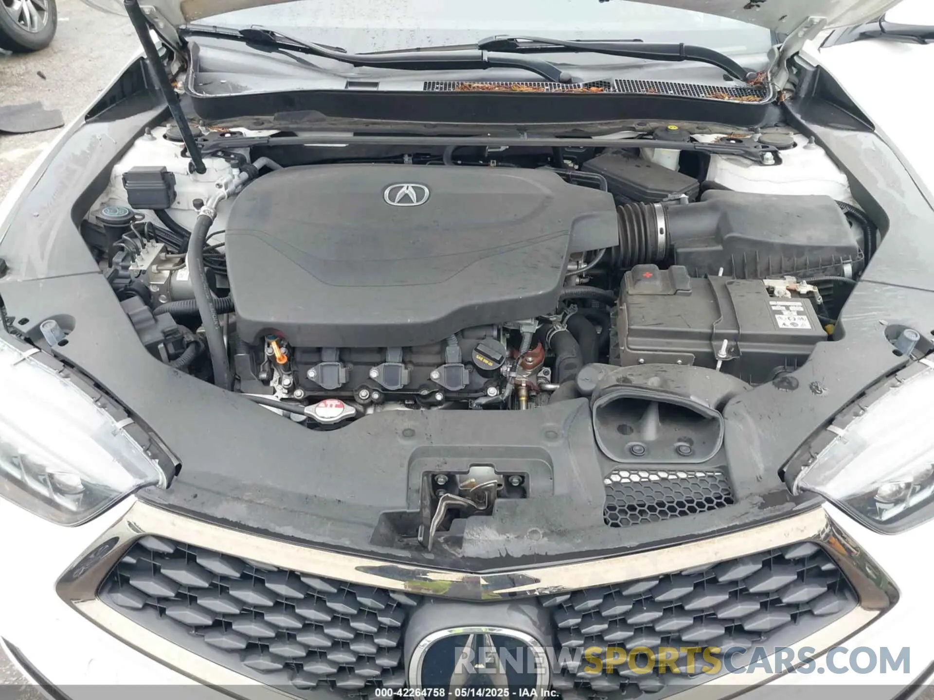 10 Photograph of a damaged car 19UUB2F63KA004061 ACURA TLX 2019