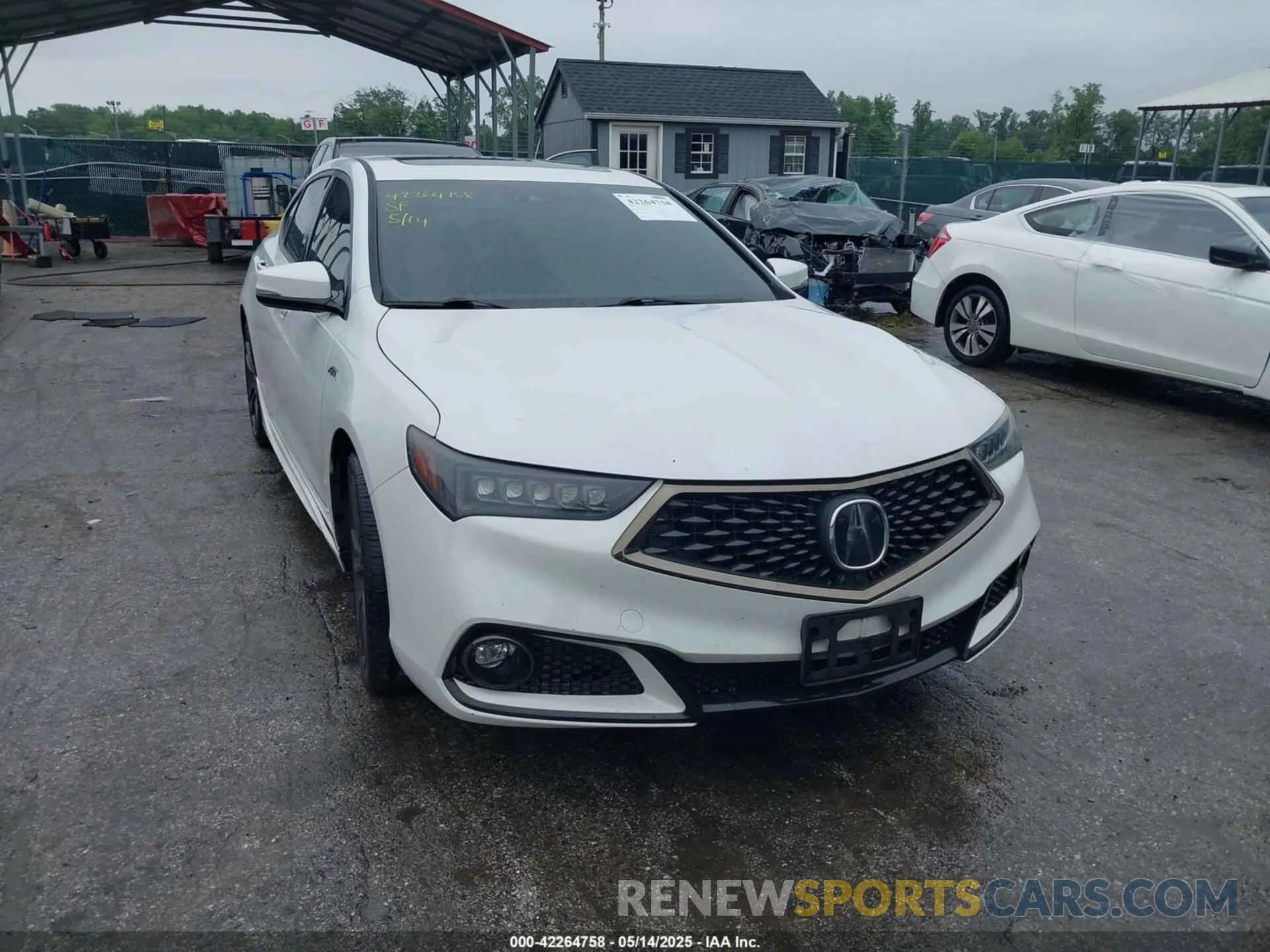 11 Photograph of a damaged car 19UUB2F63KA004061 ACURA TLX 2019