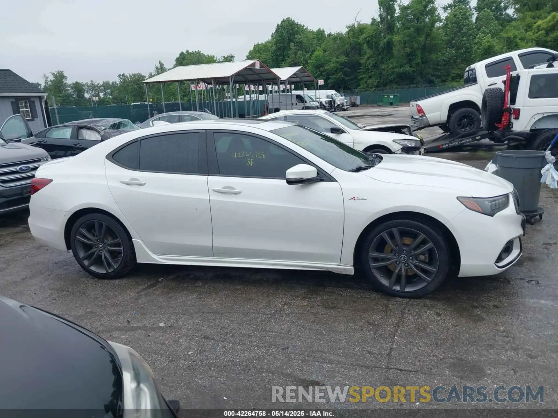 12 Photograph of a damaged car 19UUB2F63KA004061 ACURA TLX 2019