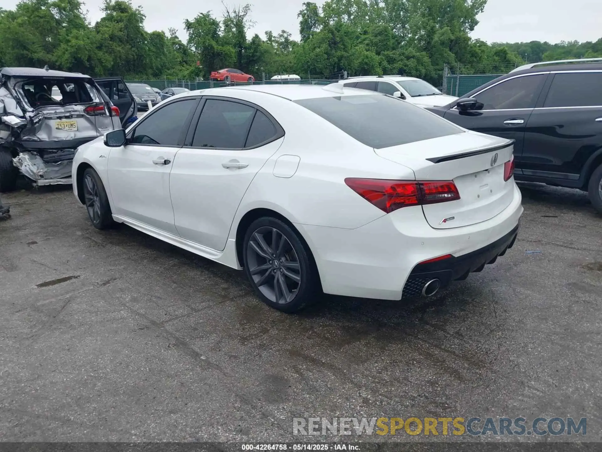 3 Photograph of a damaged car 19UUB2F63KA004061 ACURA TLX 2019