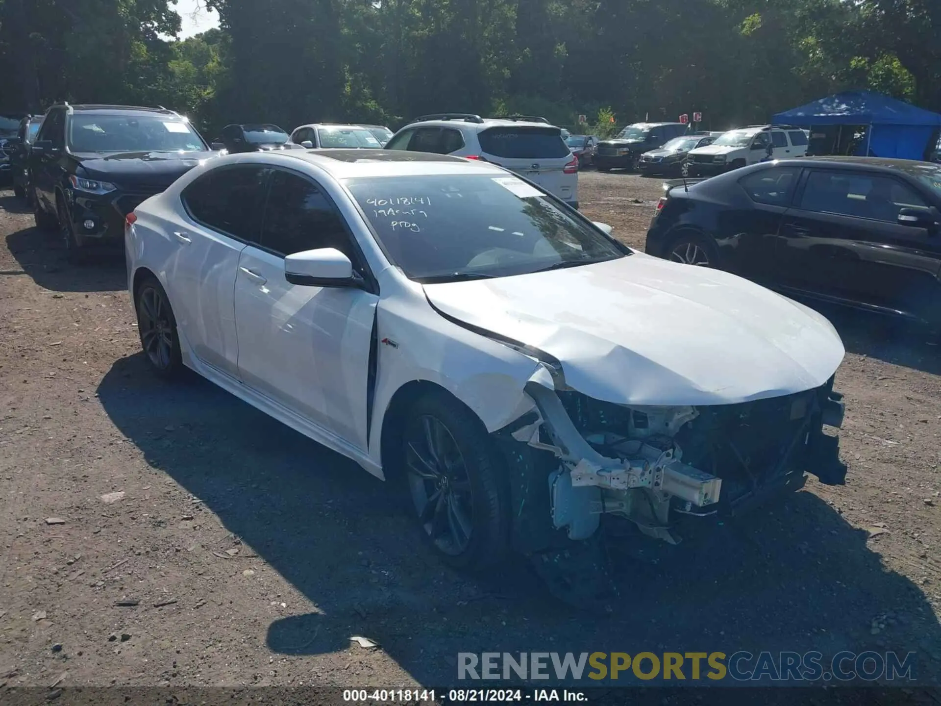 1 Photograph of a damaged car 19UUB2F66KA003762 ACURA TLX 2019