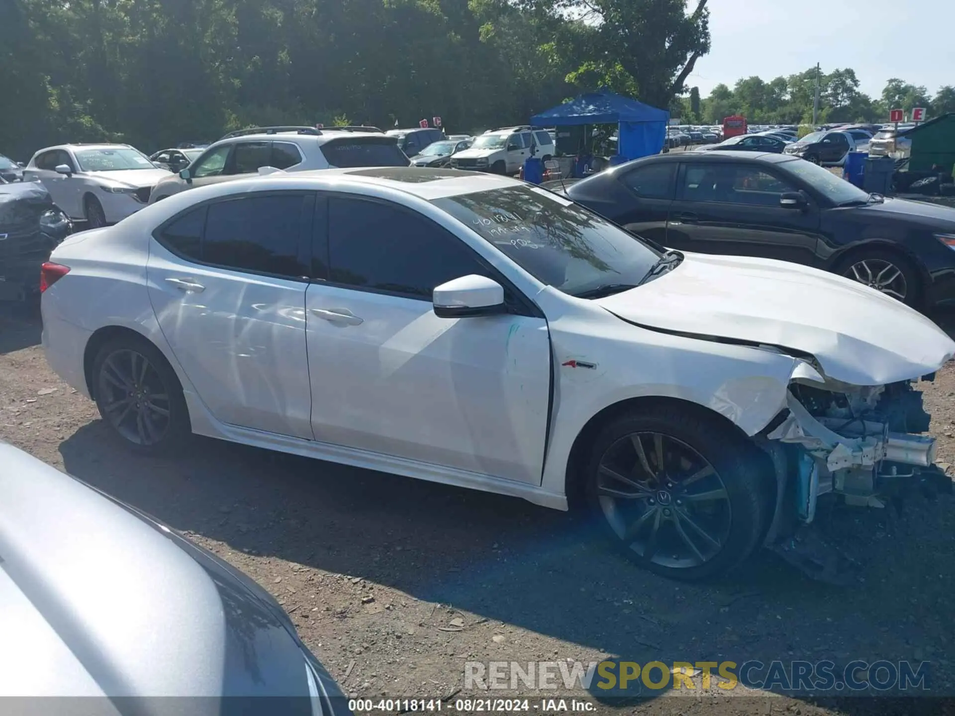 13 Photograph of a damaged car 19UUB2F66KA003762 ACURA TLX 2019