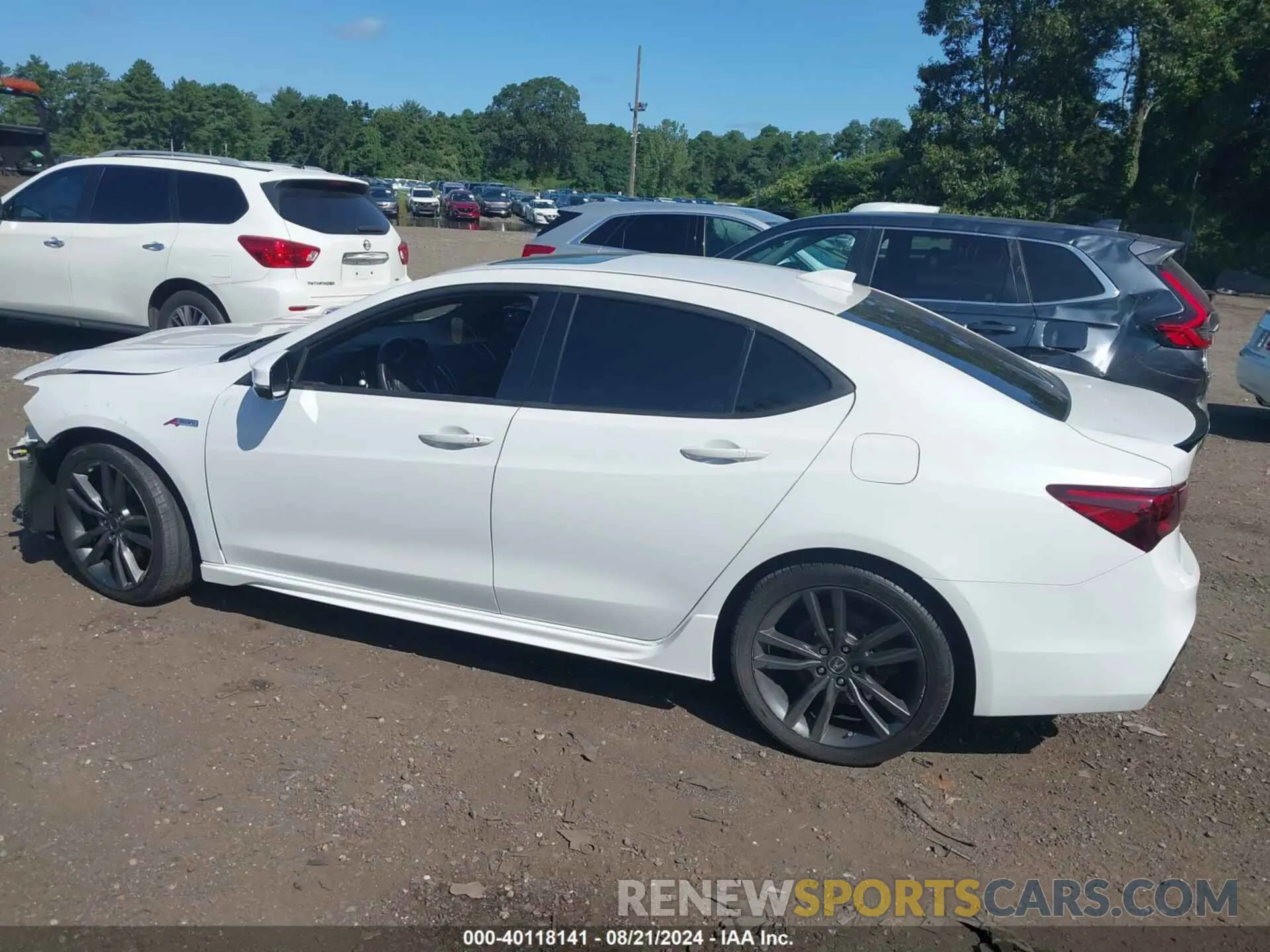 14 Photograph of a damaged car 19UUB2F66KA003762 ACURA TLX 2019