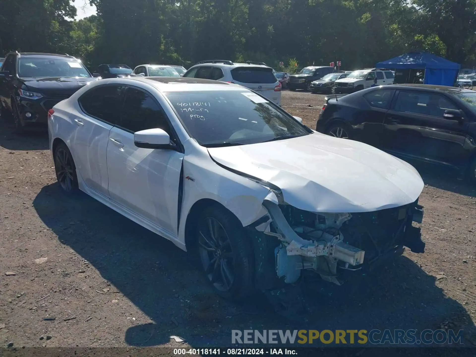 6 Photograph of a damaged car 19UUB2F66KA003762 ACURA TLX 2019