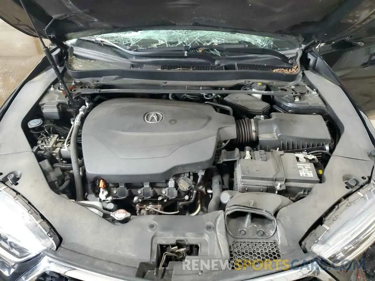 11 Photograph of a damaged car 19UUB3F40KA006032 ACURA TLX 2019