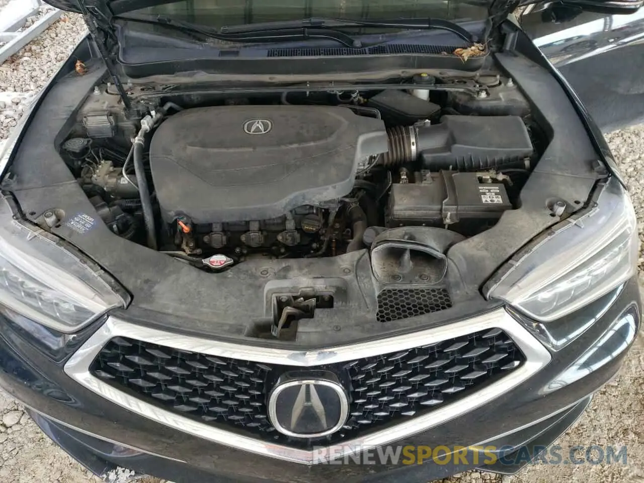 11 Photograph of a damaged car 19UUB3F42KA005559 ACURA TLX 2019