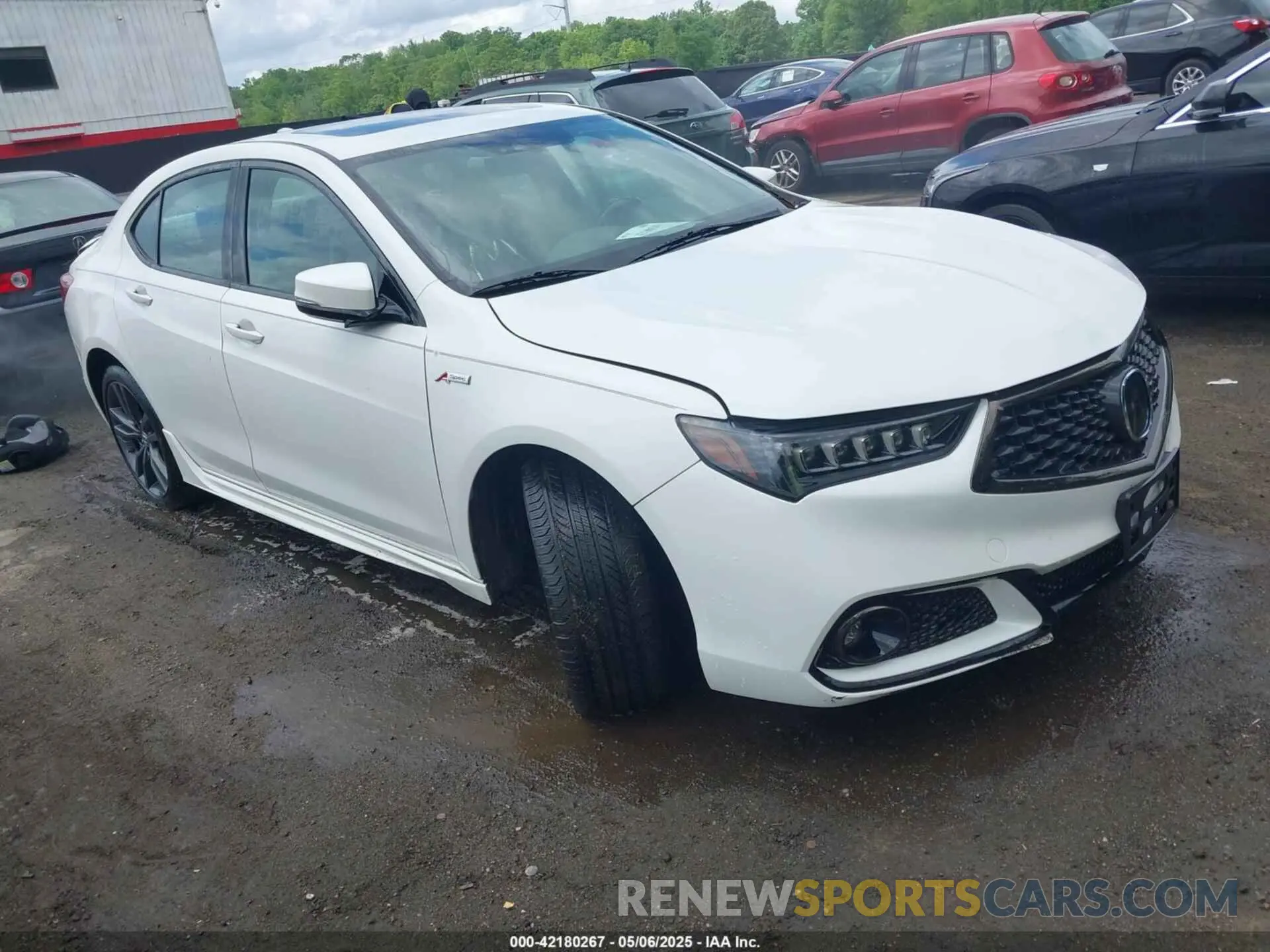 1 Photograph of a damaged car 19UUB3F60KA005206 ACURA TLX 2019