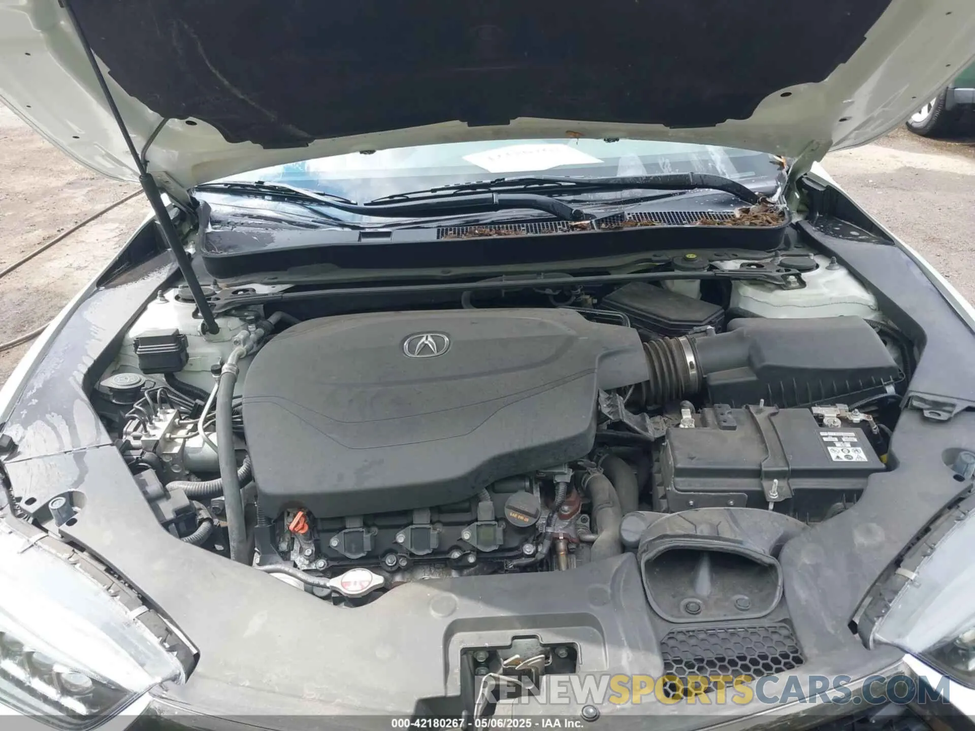 10 Photograph of a damaged car 19UUB3F60KA005206 ACURA TLX 2019