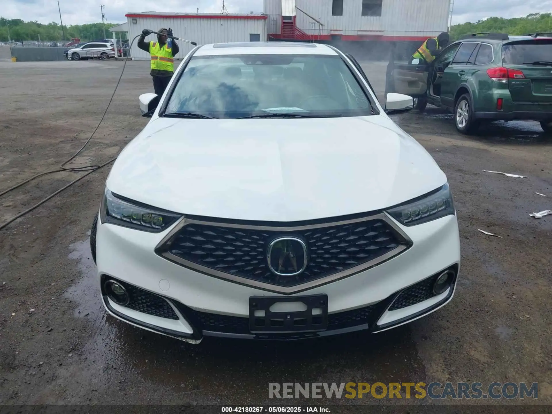 12 Photograph of a damaged car 19UUB3F60KA005206 ACURA TLX 2019