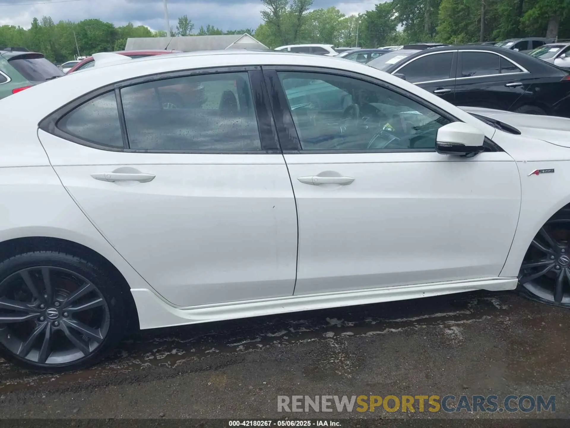 13 Photograph of a damaged car 19UUB3F60KA005206 ACURA TLX 2019