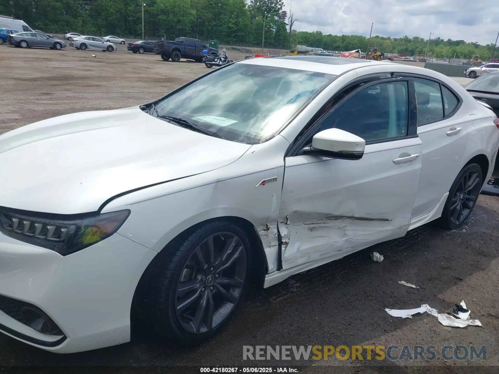 6 Photograph of a damaged car 19UUB3F60KA005206 ACURA TLX 2019