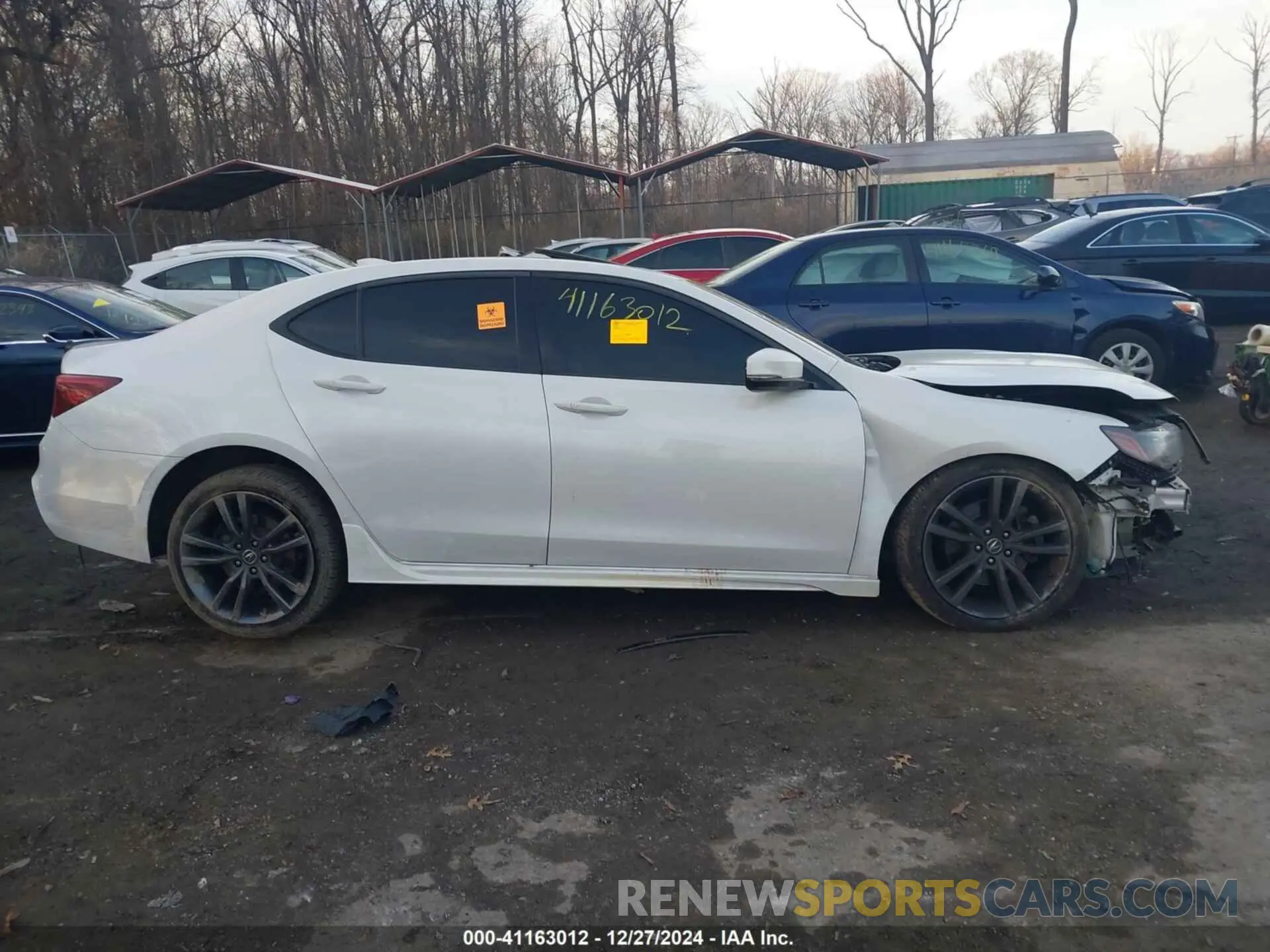 13 Photograph of a damaged car 19UUB3F62KA001769 ACURA TLX 2019