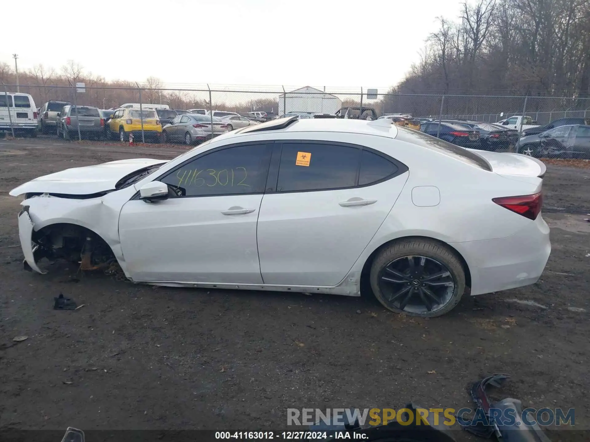 14 Photograph of a damaged car 19UUB3F62KA001769 ACURA TLX 2019