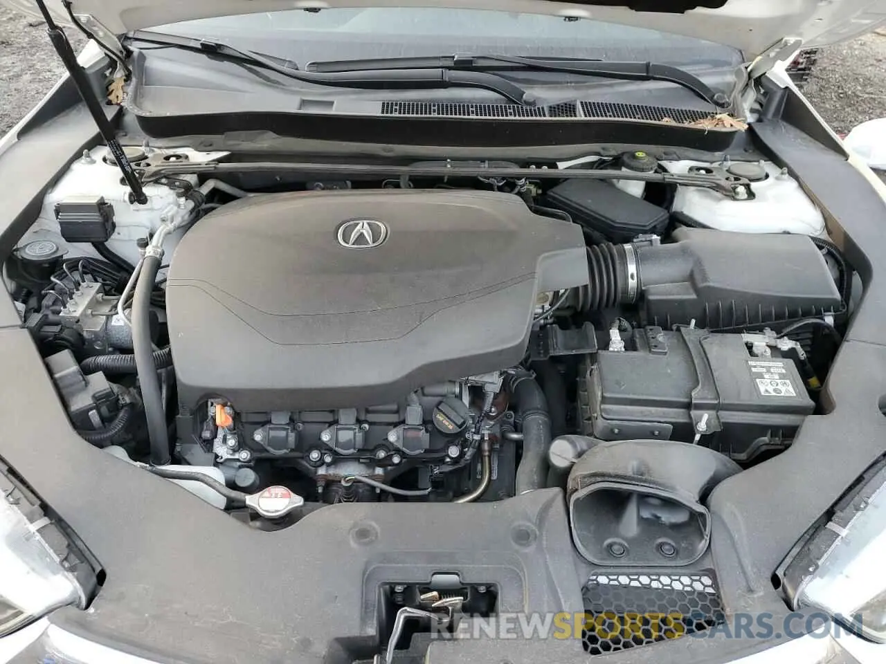 11 Photograph of a damaged car 19UUB3F83KA006254 ACURA TLX 2019