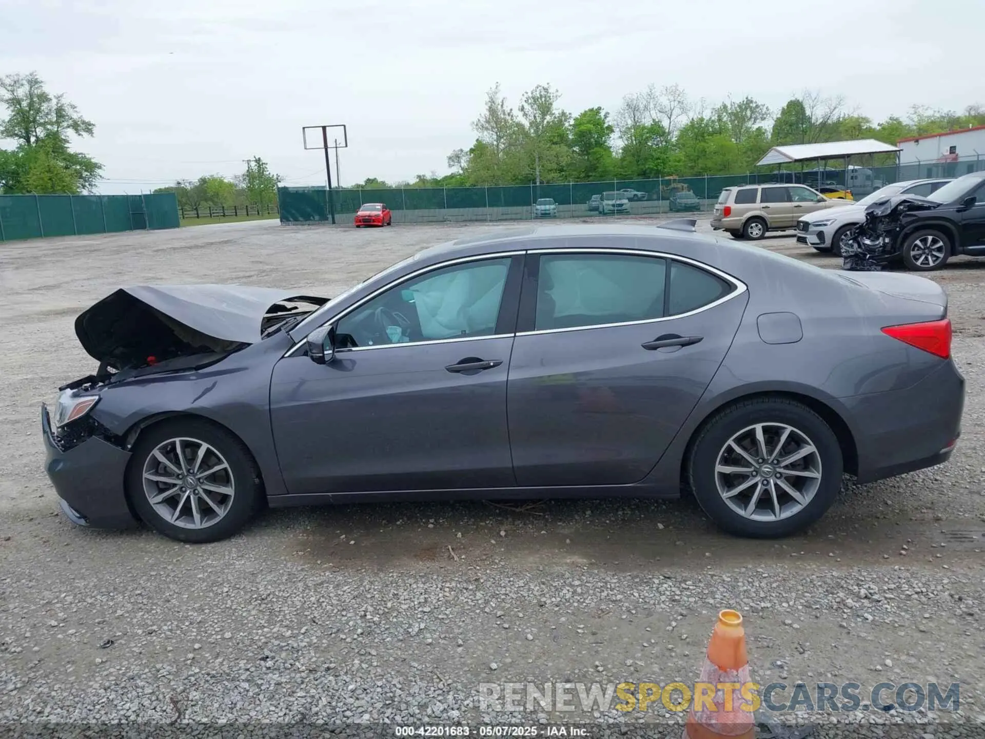 14 Photograph of a damaged car 19UUB1F30LA011504 ACURA TLX 2020