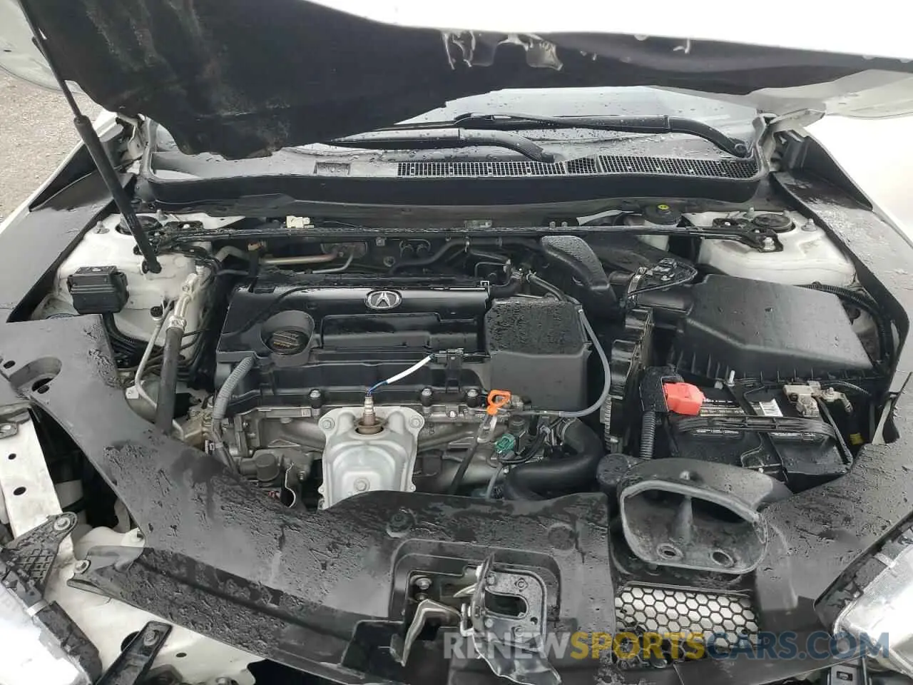 11 Photograph of a damaged car 19UUB1F31LA013147 ACURA TLX 2020