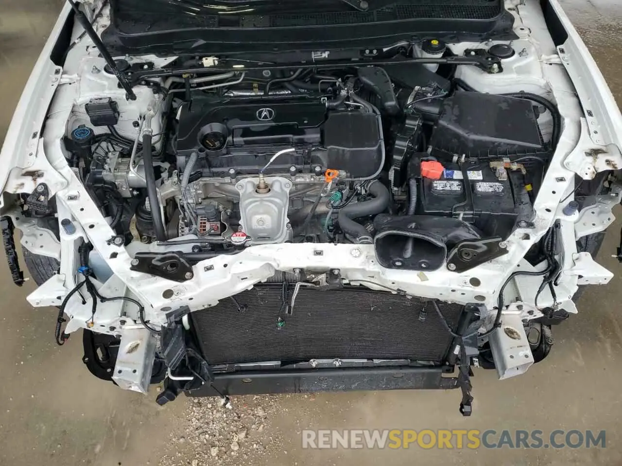 11 Photograph of a damaged car 19UUB1F32LA010029 ACURA TLX 2020