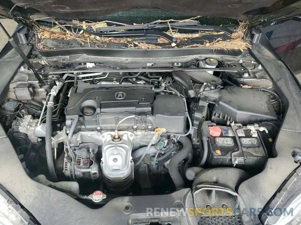 11 Photograph of a damaged car 19UUB1F35LA011840 ACURA TLX 2020