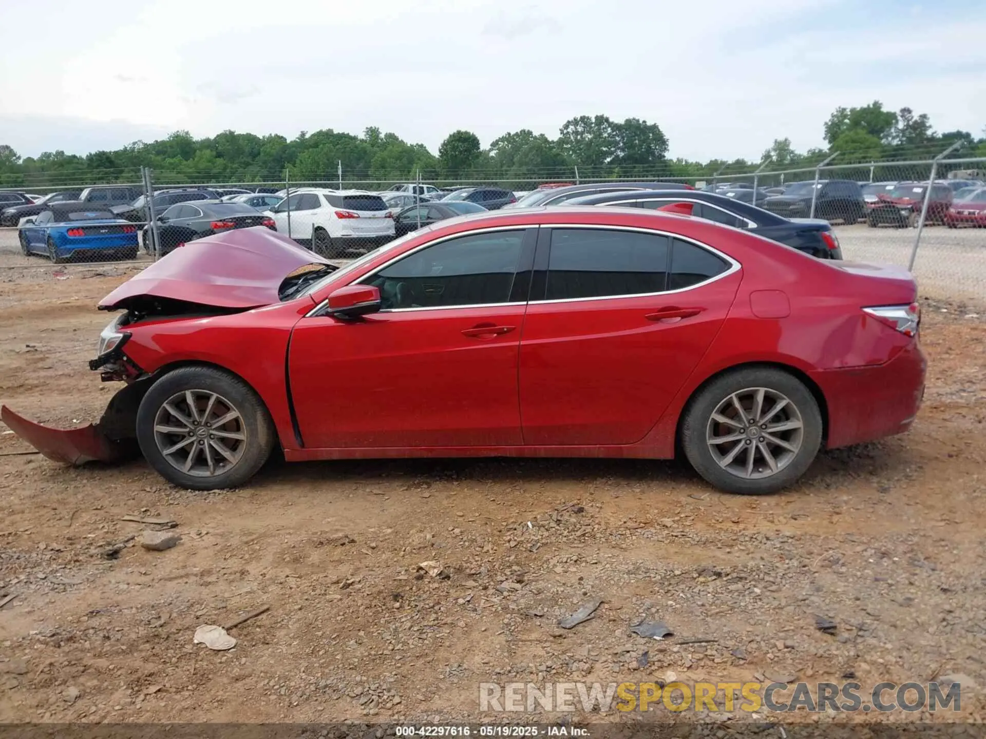14 Photograph of a damaged car 19UUB1F36LA005495 ACURA TLX 2020