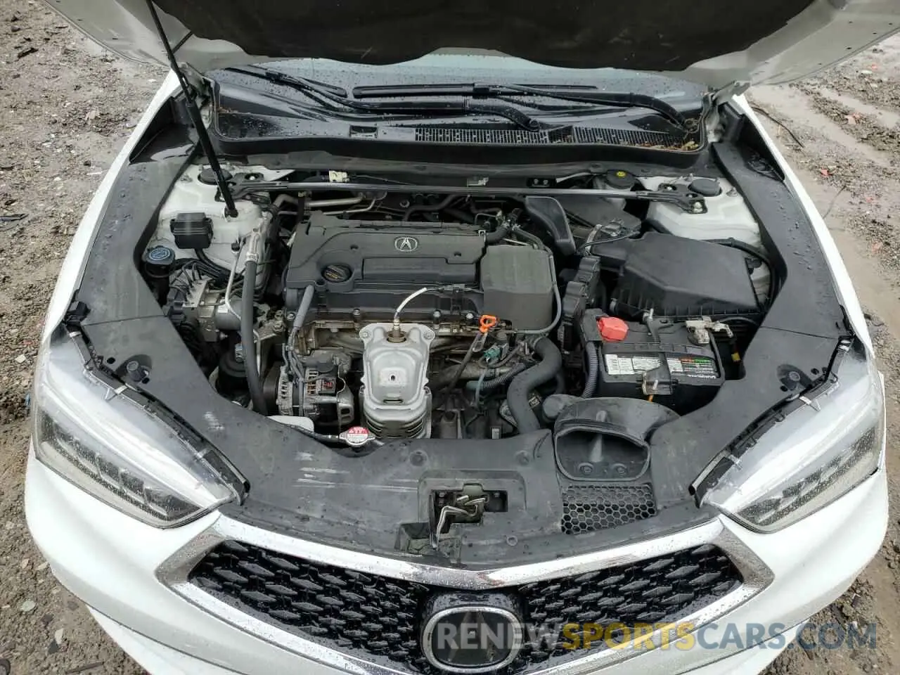 11 Photograph of a damaged car 19UUB1F36LA006002 ACURA TLX 2020
