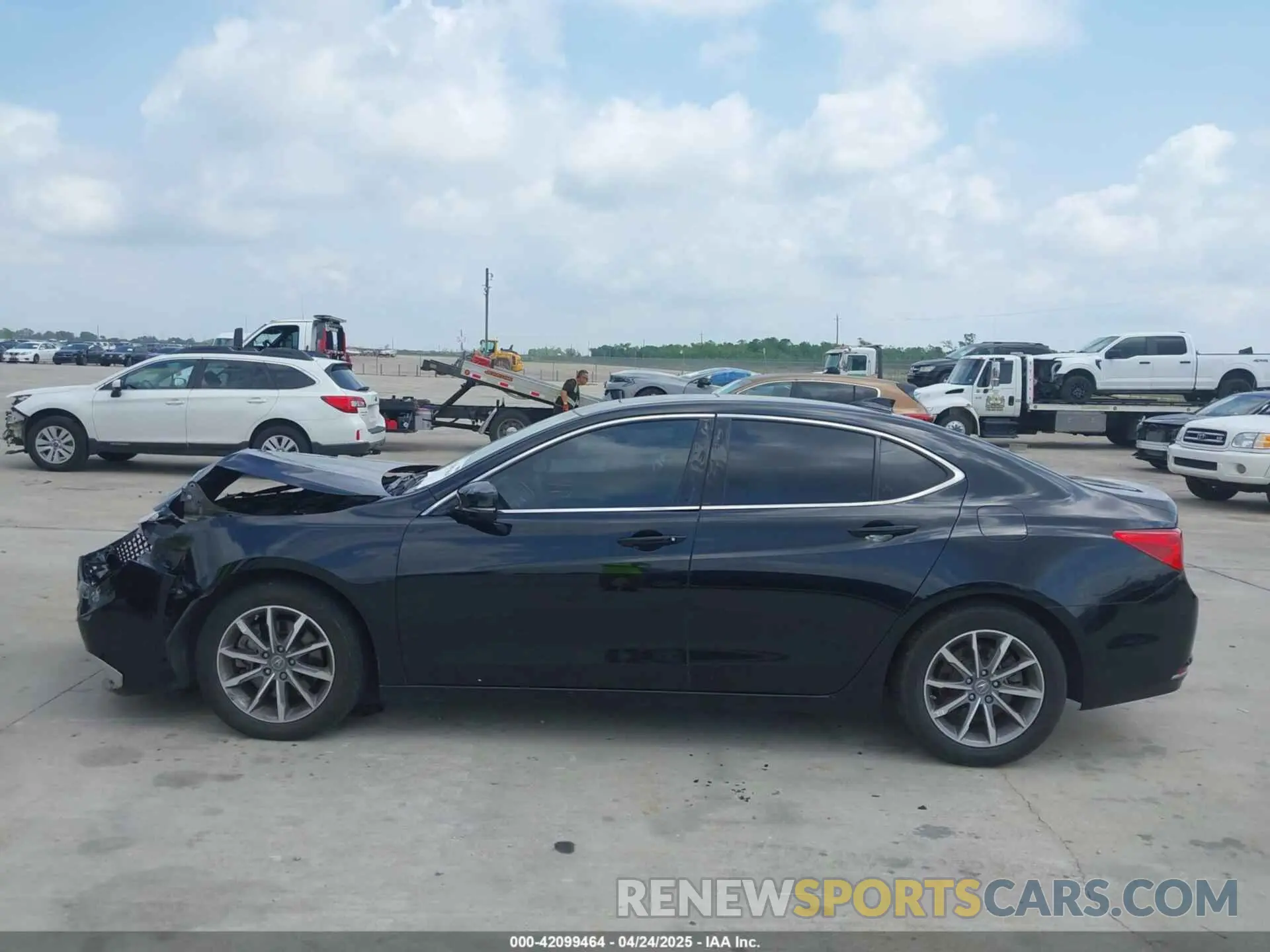 14 Photograph of a damaged car 19UUB1F39LA004521 ACURA TLX 2020