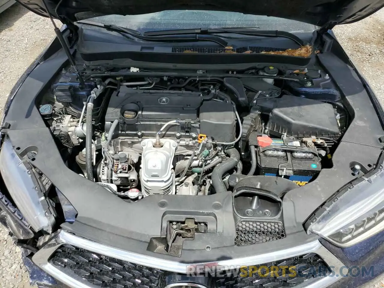 11 Photograph of a damaged car 19UUB1F3XLA003085 ACURA TLX 2020