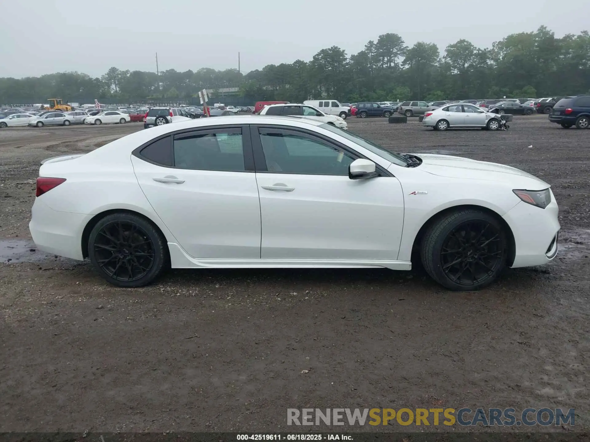 13 Photograph of a damaged car 19UUB1F60LA011710 ACURA TLX 2020