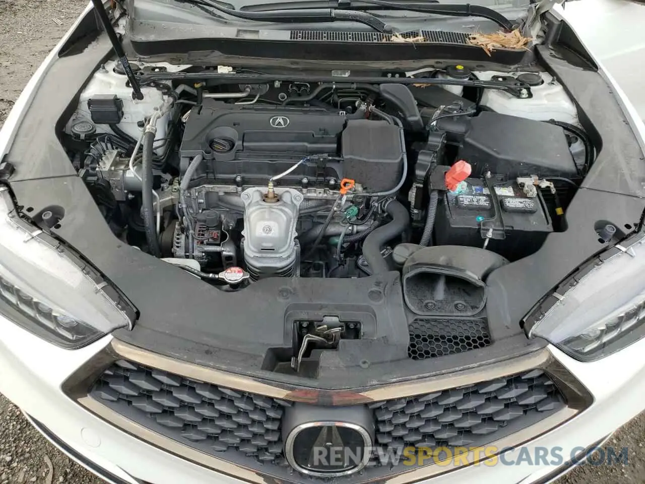 12 Photograph of a damaged car 19UUB1F62LA012955 ACURA TLX 2020
