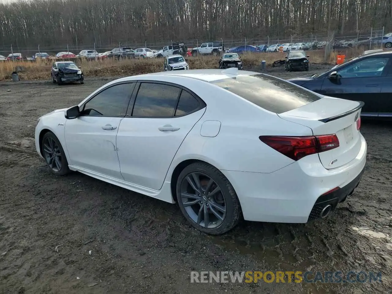 2 Photograph of a damaged car 19UUB1F62LA012955 ACURA TLX 2020