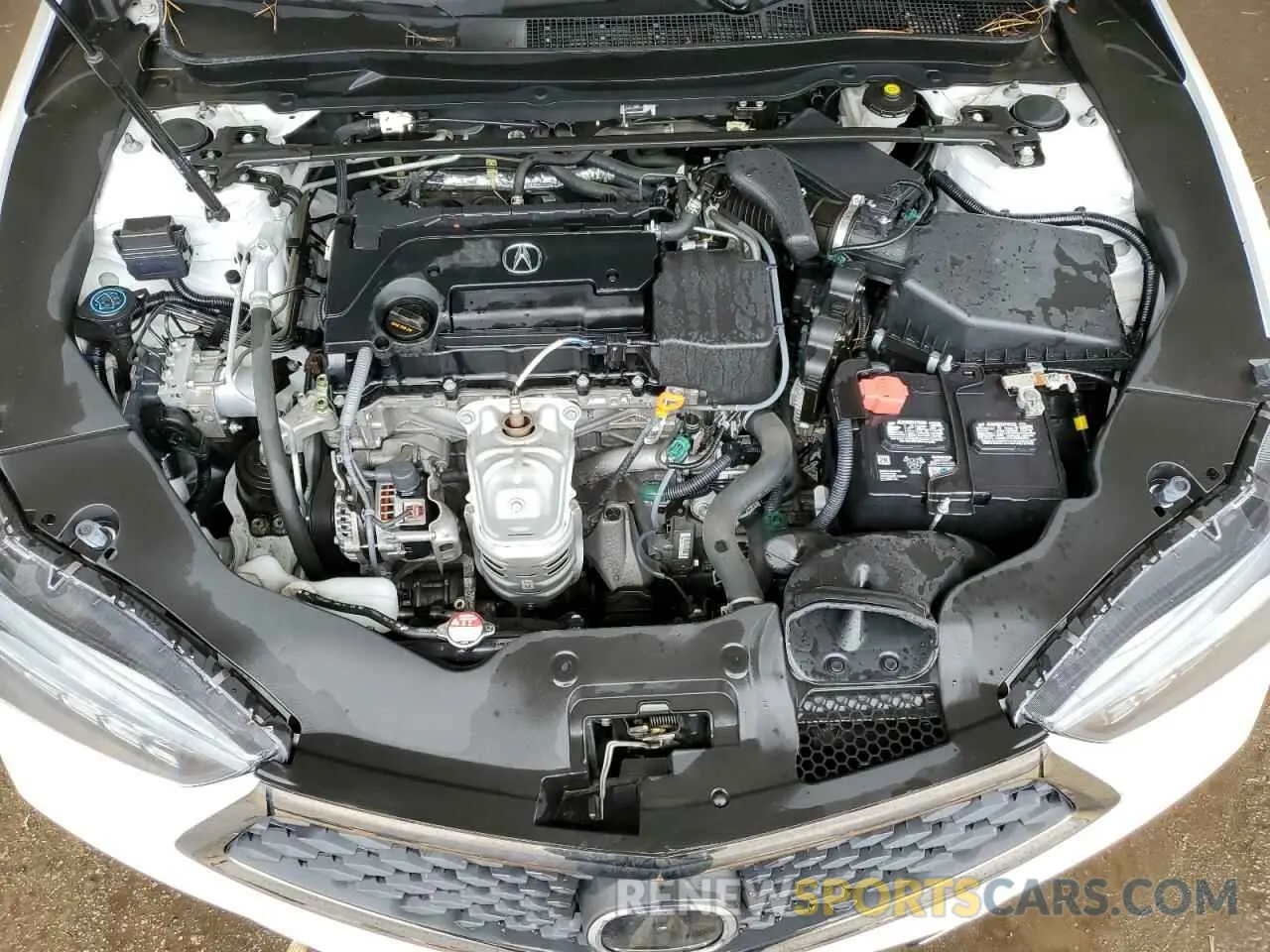 11 Photograph of a damaged car 19UUB1F63LA009904 ACURA TLX 2020