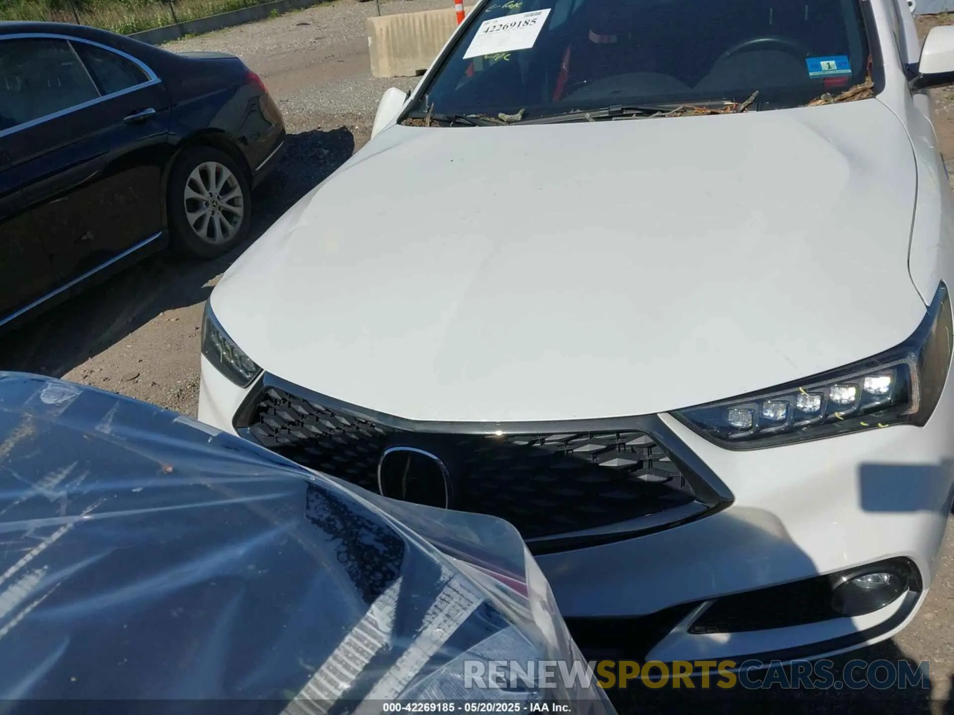 12 Photograph of a damaged car 19UUB1F64LA009815 ACURA TLX 2020