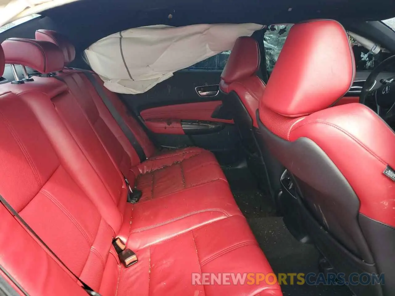 11 Photograph of a damaged car 19UUB1F6XLA010239 ACURA TLX 2020