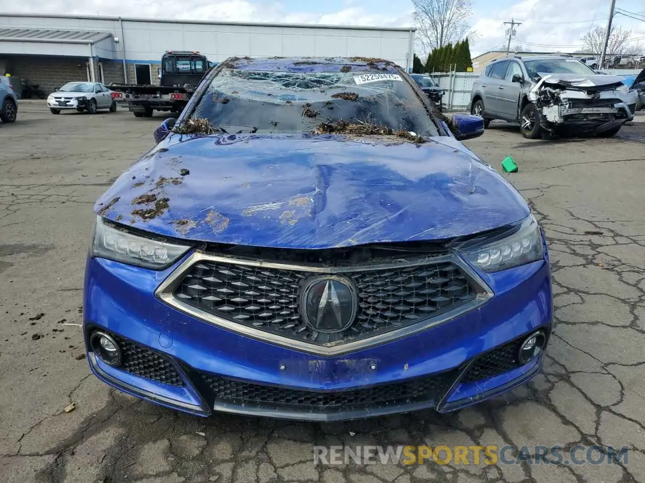 5 Photograph of a damaged car 19UUB1F6XLA010239 ACURA TLX 2020