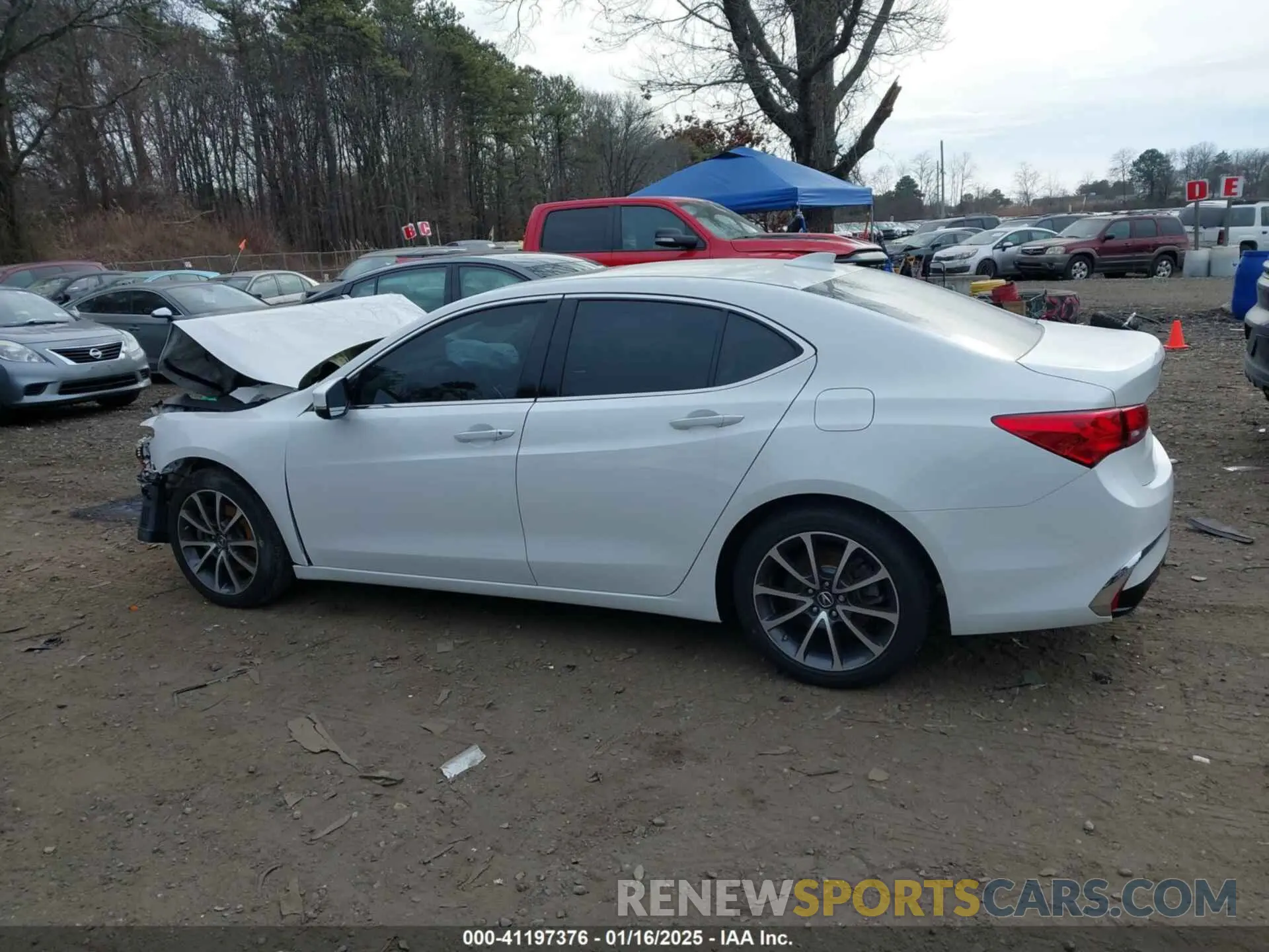 14 Photograph of a damaged car 19UUB2F31LA001618 ACURA TLX 2020