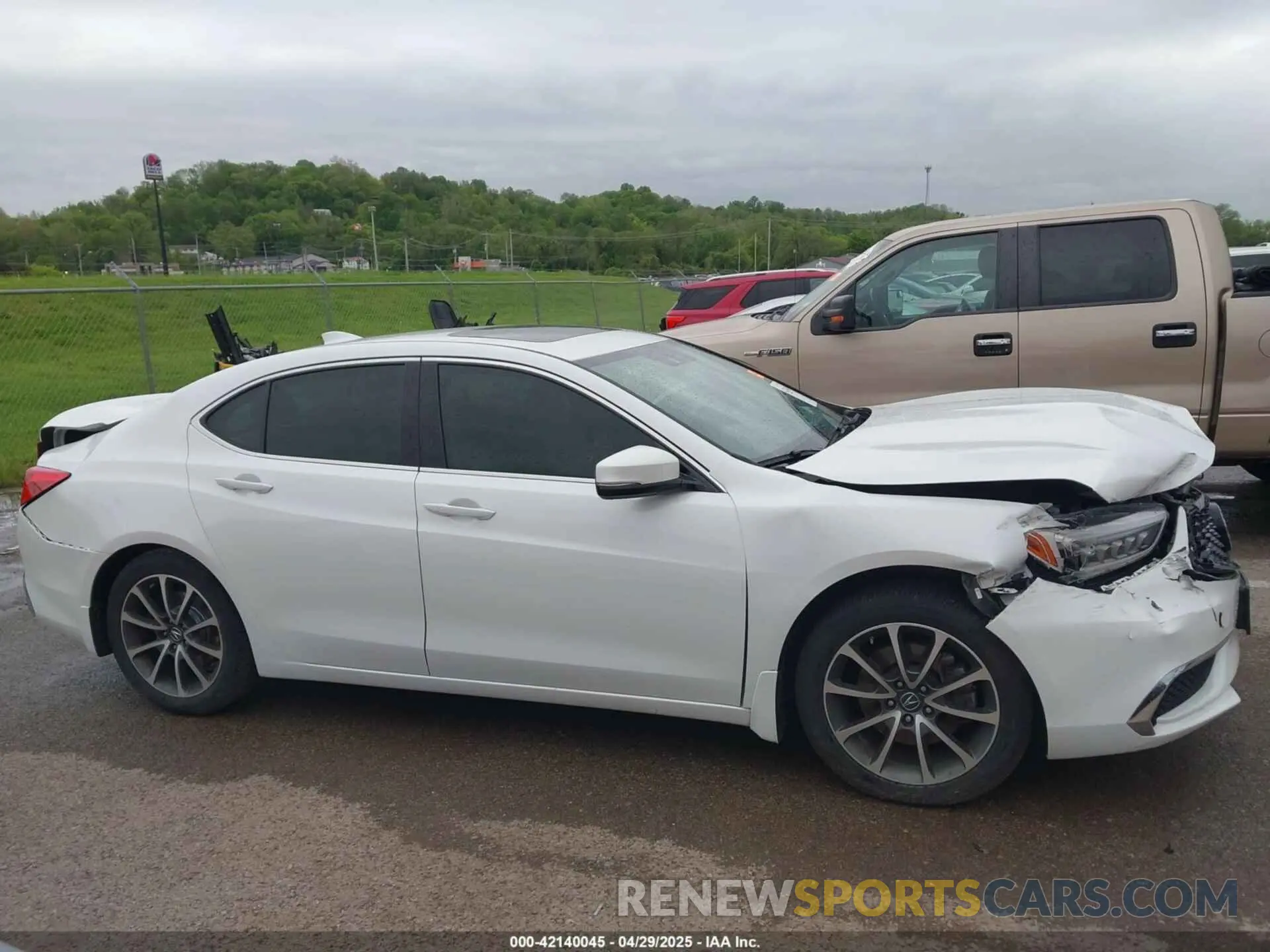 13 Photograph of a damaged car 19UUB2F38LA000997 ACURA TLX 2020