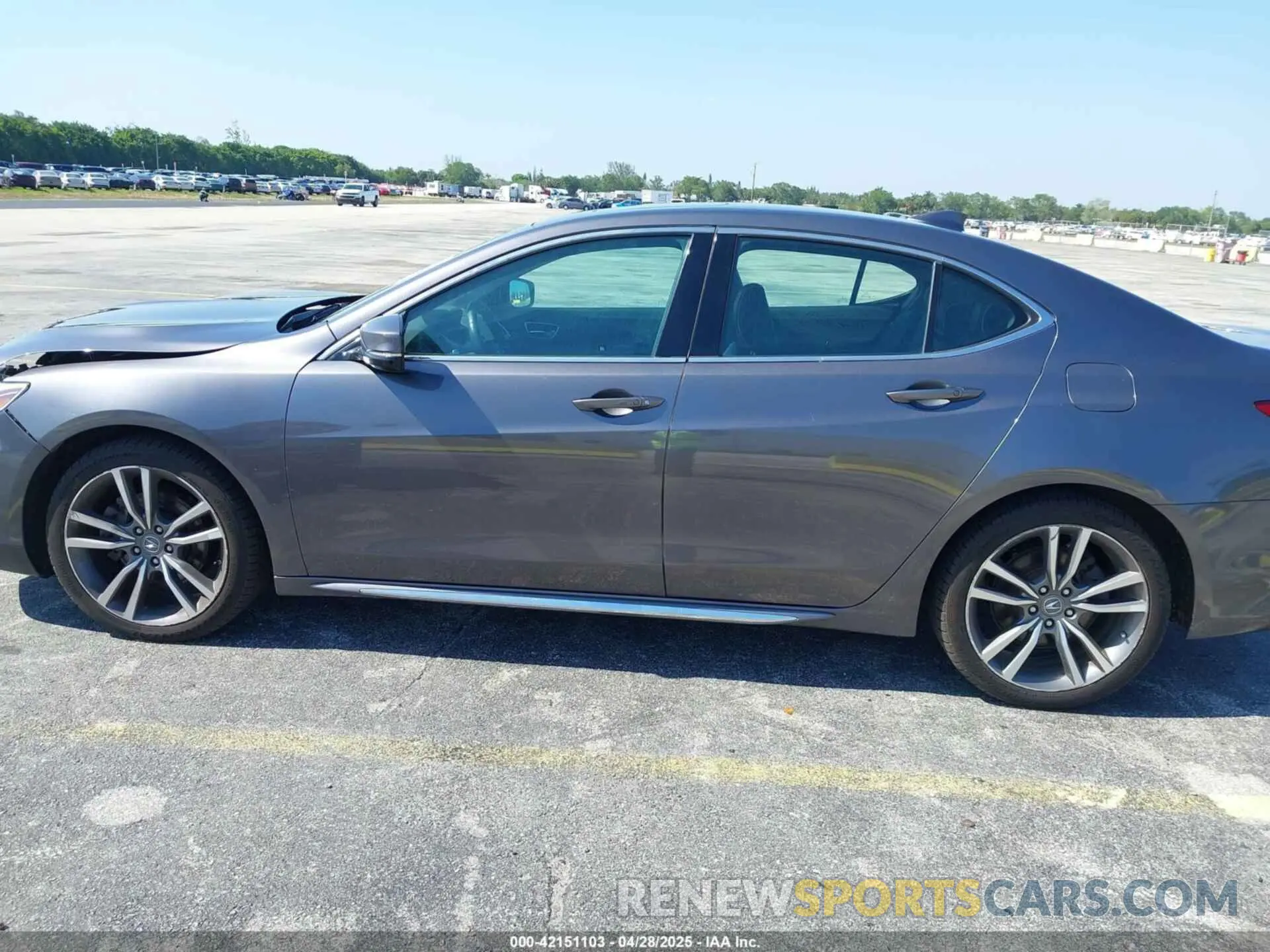 14 Photograph of a damaged car 19UUB3F4XLA000269 ACURA TLX 2020