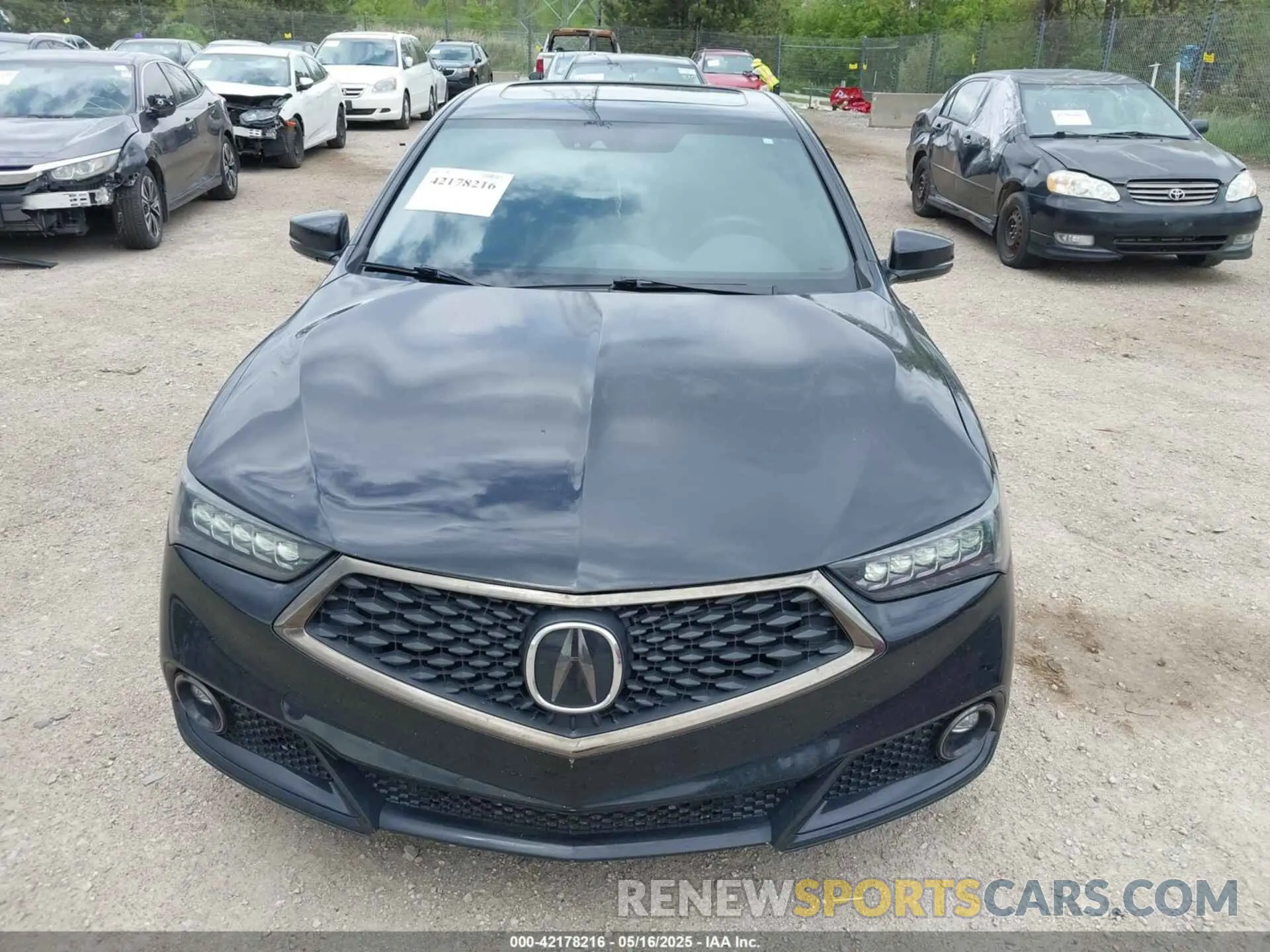 12 Photograph of a damaged car 19UUB3F60LA002856 ACURA TLX 2020