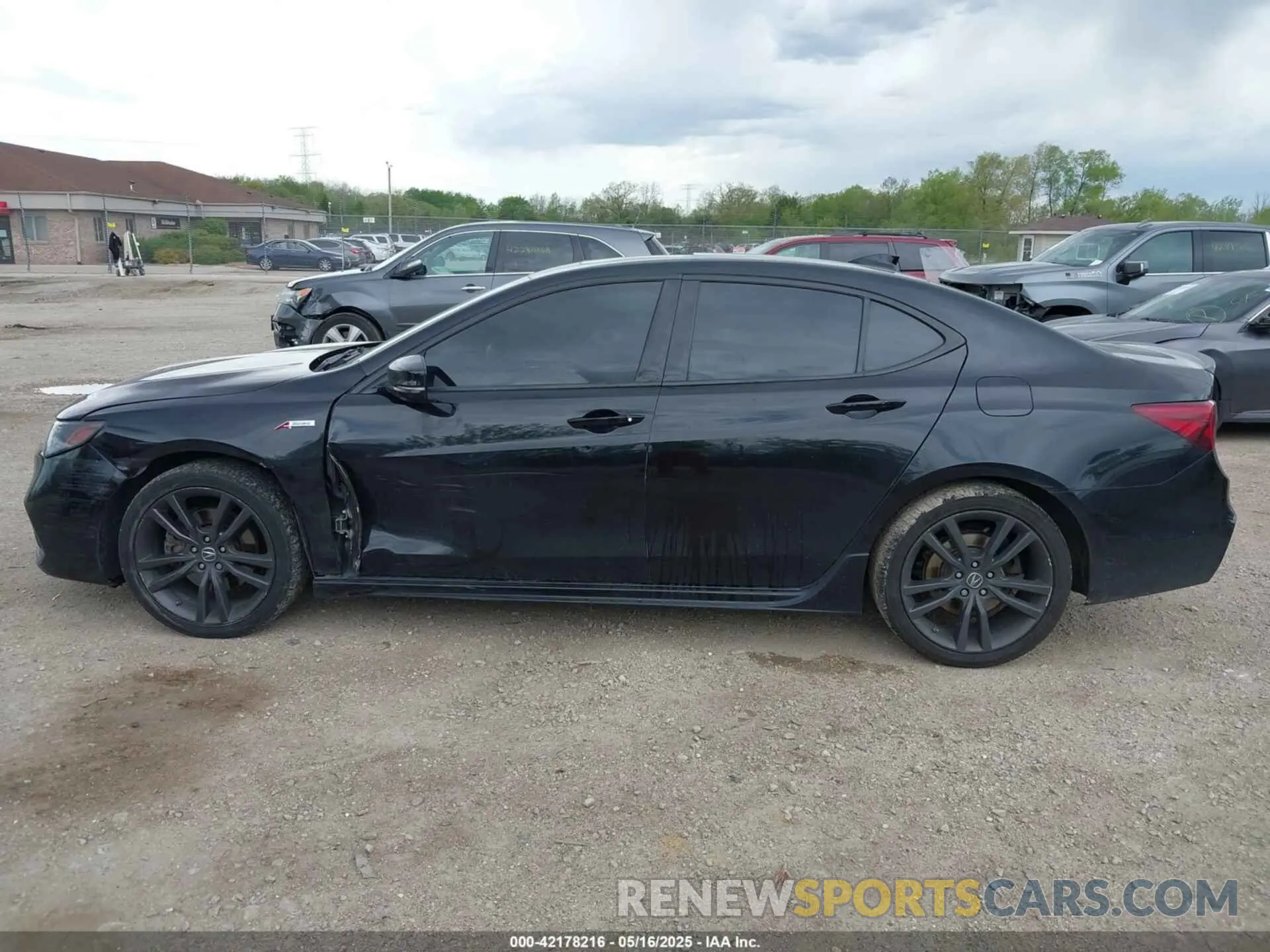 14 Photograph of a damaged car 19UUB3F60LA002856 ACURA TLX 2020