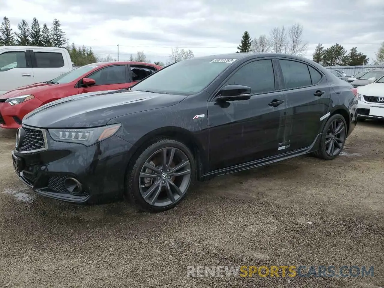 1 Photograph of a damaged car 19UUB3F88LA801818 ACURA TLX 2020