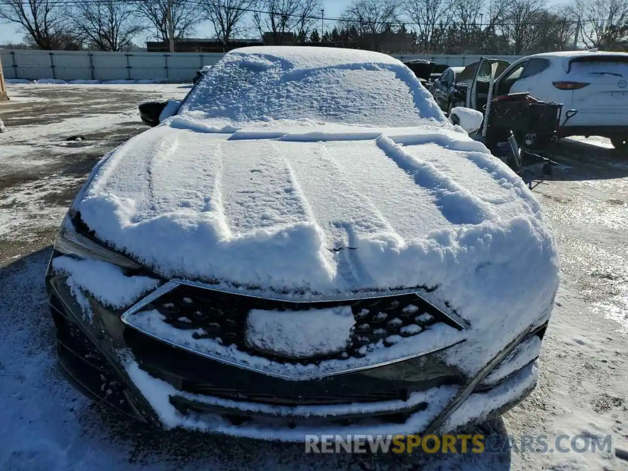 5 Photograph of a damaged car 19UUB5F35MA012446 ACURA TLX 2021