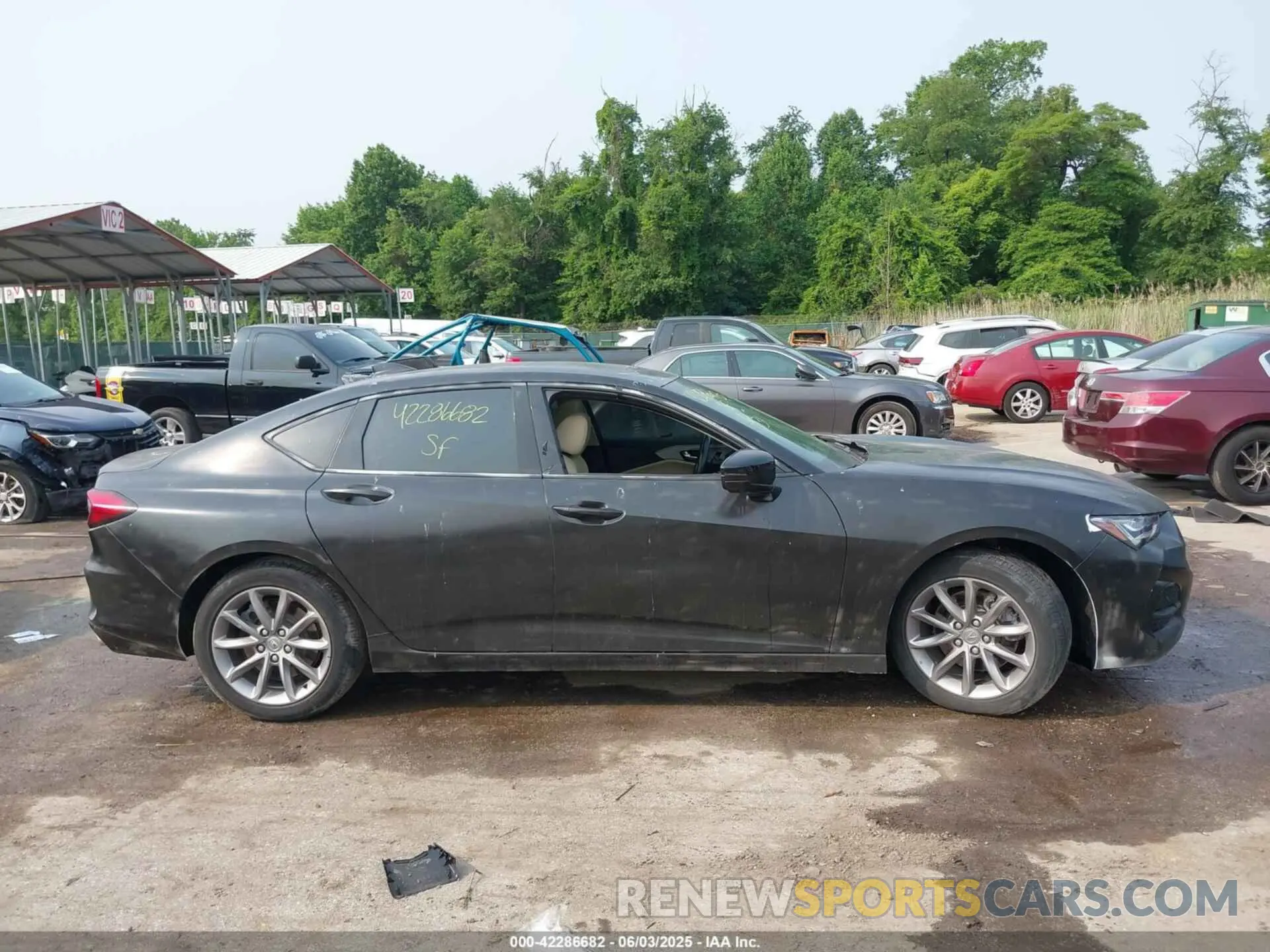 12 Photograph of a damaged car 19UUB5F36MA000807 ACURA TLX 2021