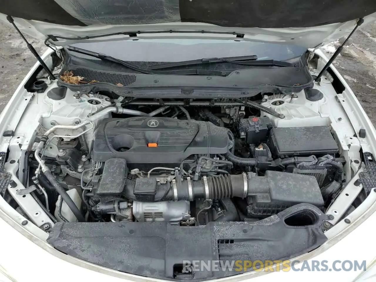 11 Photograph of a damaged car 19UUB5F3XMA000809 ACURA TLX 2021