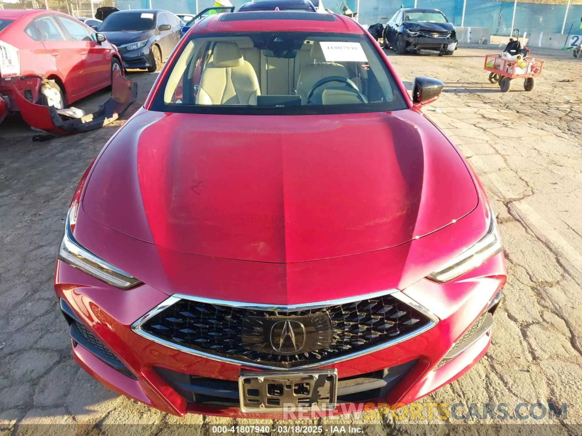 13 Photograph of a damaged car 19UUB5F45MA012066 ACURA TLX 2021