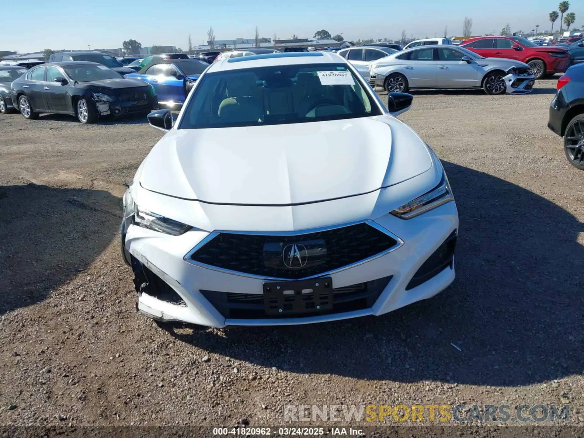 12 Photograph of a damaged car 19UUB5F48MA002731 ACURA TLX 2021