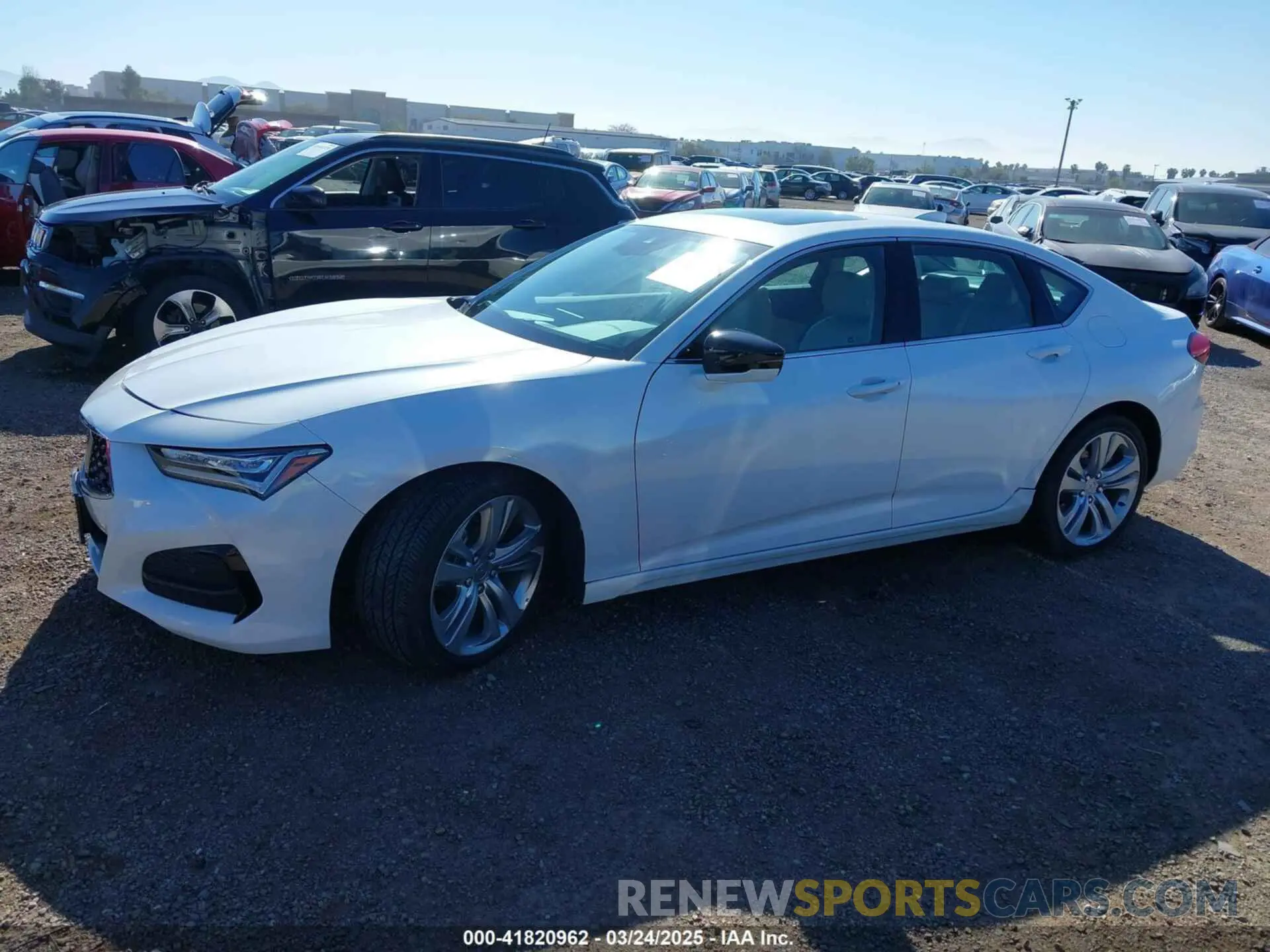 14 Photograph of a damaged car 19UUB5F48MA002731 ACURA TLX 2021