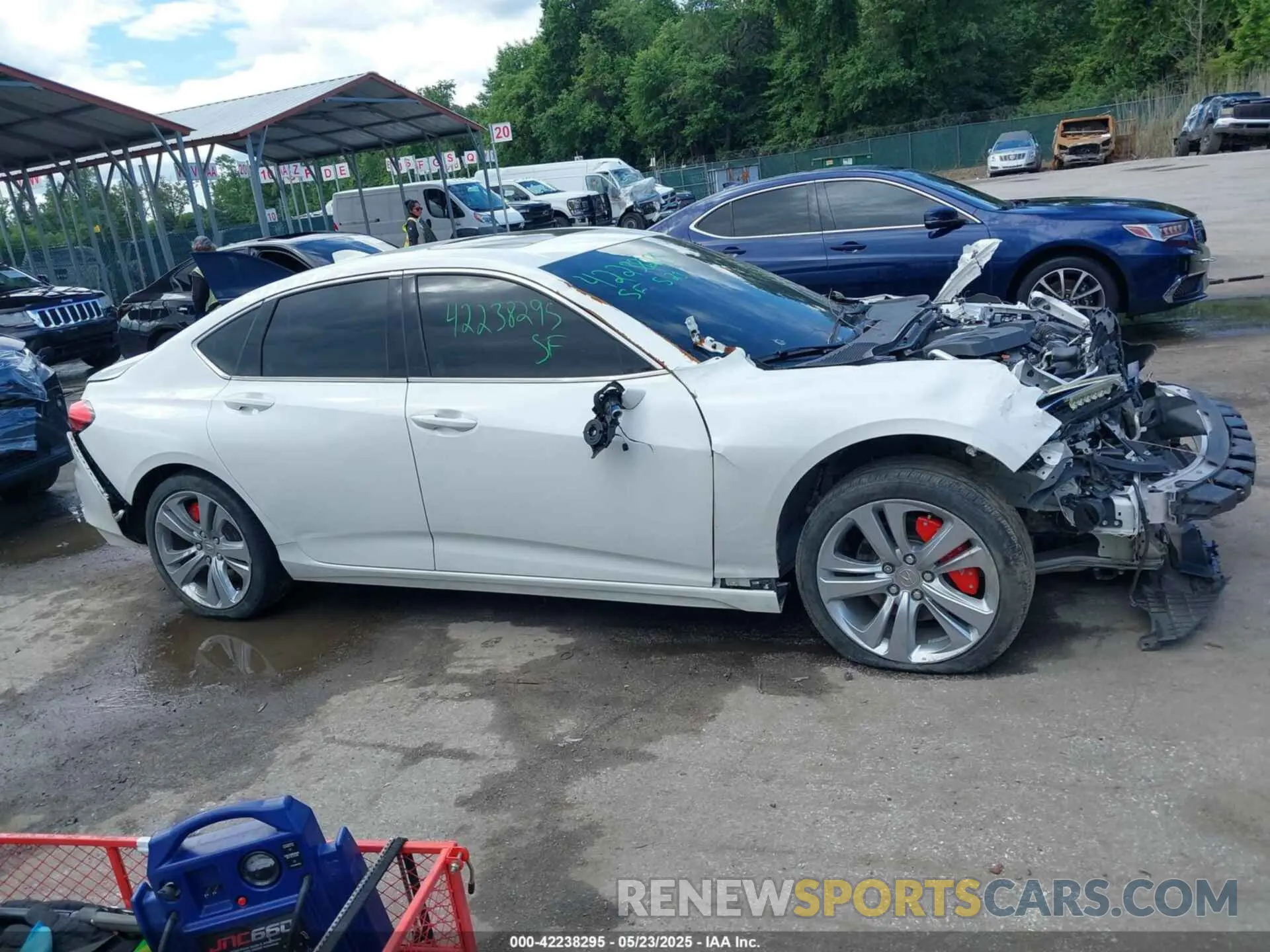 12 Photograph of a damaged car 19UUB5F4XMA003461 ACURA TLX 2021