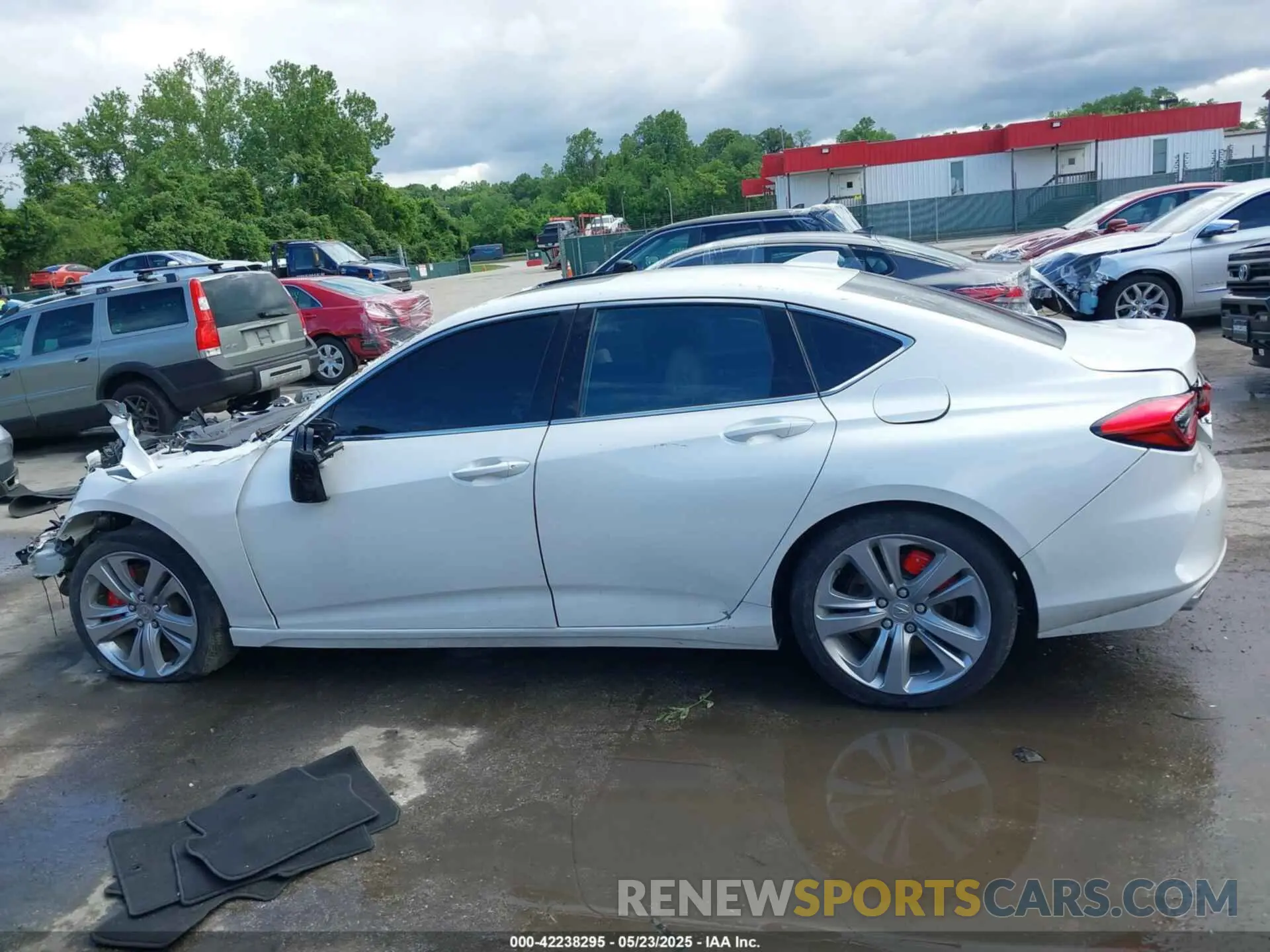 13 Photograph of a damaged car 19UUB5F4XMA003461 ACURA TLX 2021