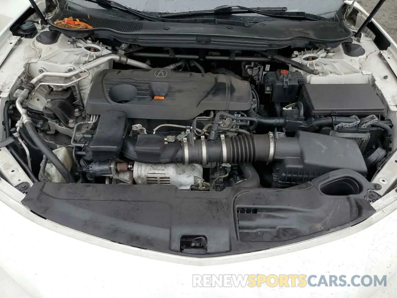 11 Photograph of a damaged car 19UUB5F51MA002031 ACURA TLX 2021