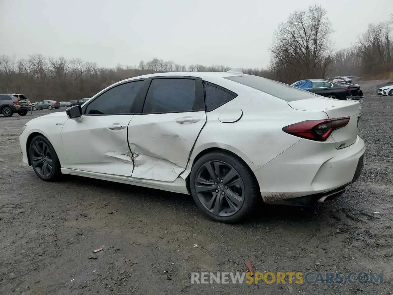 2 Photograph of a damaged car 19UUB5F51MA002031 ACURA TLX 2021